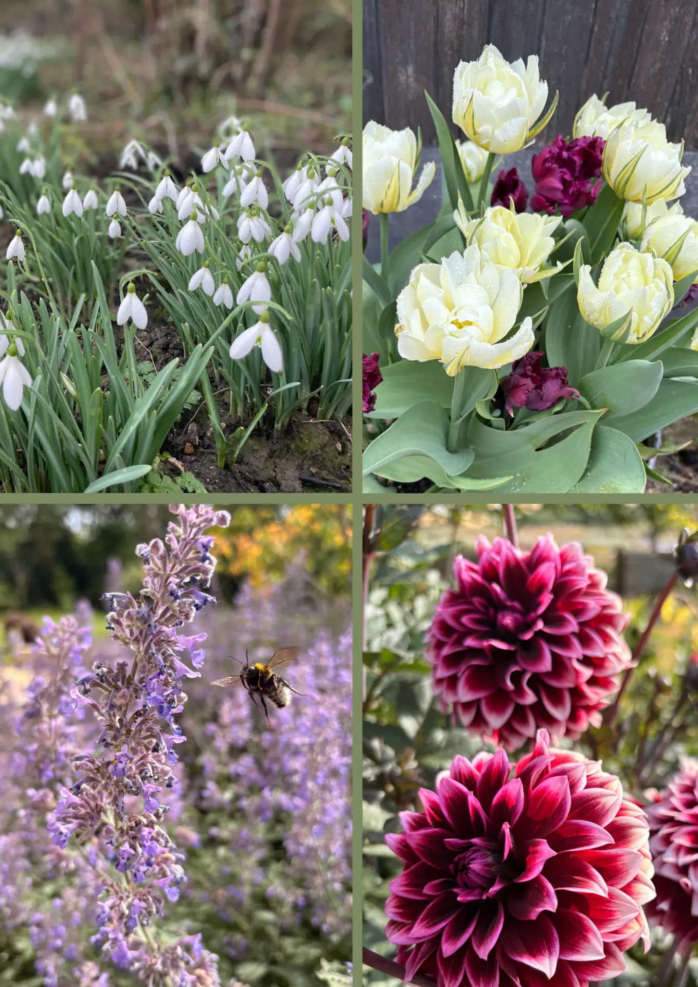Create a garden with year round colour