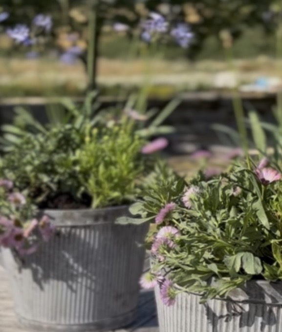 Pots That Perform