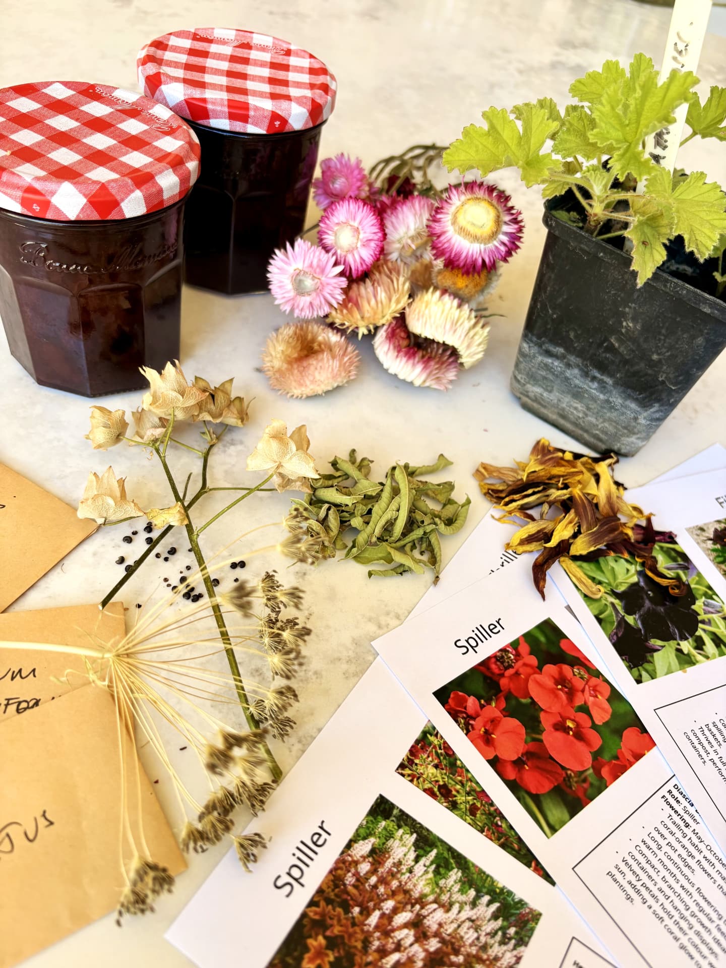 Jars of jam, dried flowers, seed packets, a scented pelargonium and plant notes on a marble top