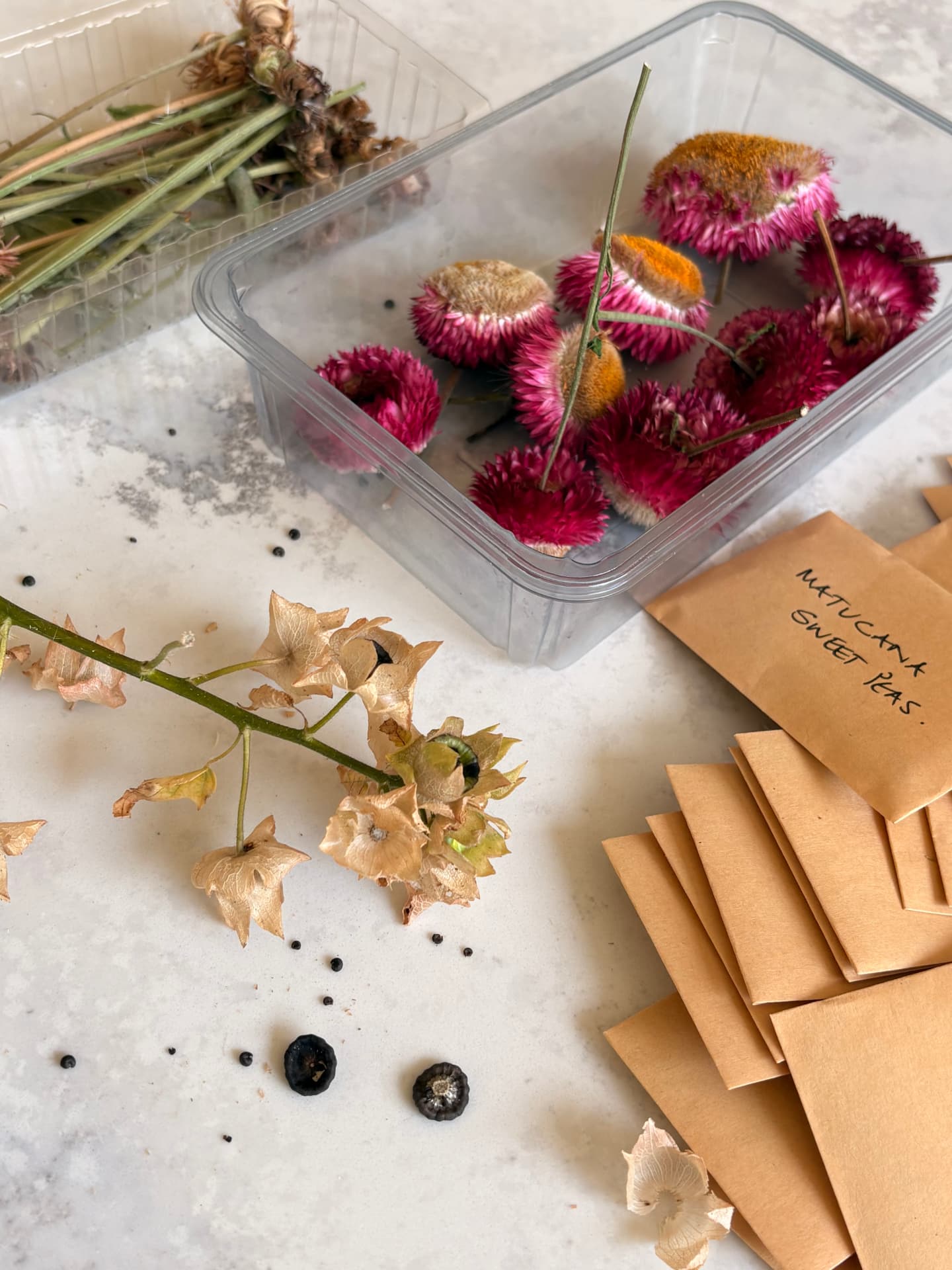 Make your own plants